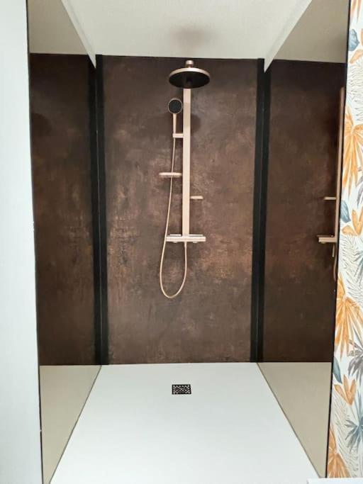 אלנסון Appartement Cote Jardin - Centre מראה חיצוני תמונה