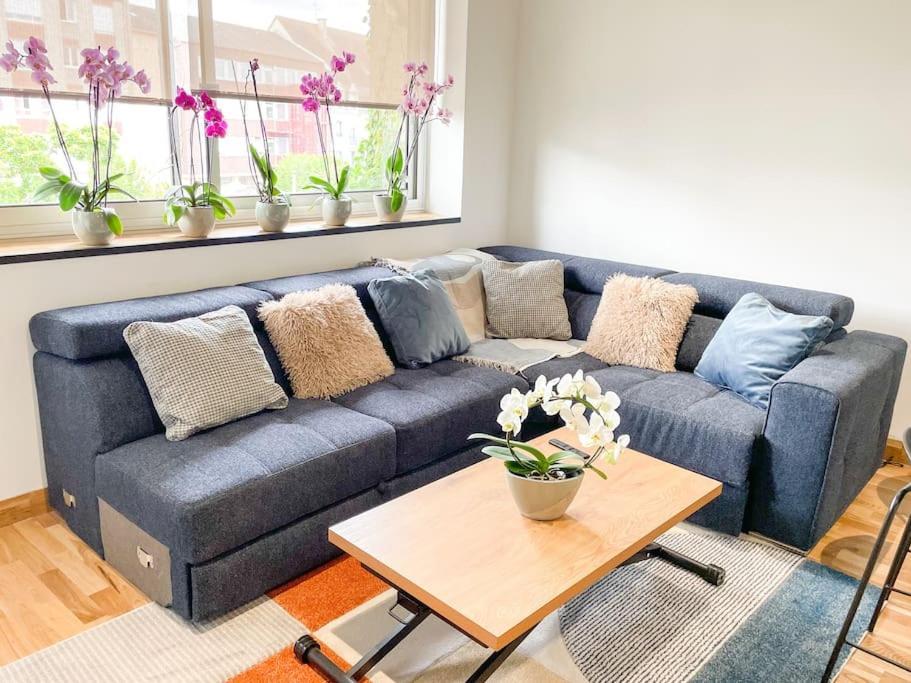 אלנסון Appartement Cote Jardin - Centre מראה חיצוני תמונה