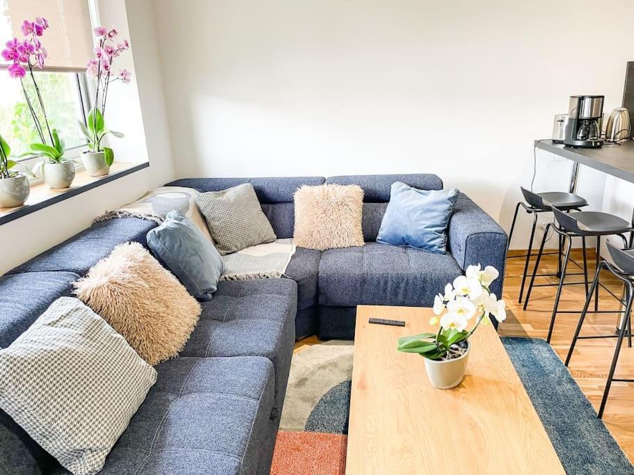 אלנסון Appartement Cote Jardin - Centre מראה חיצוני תמונה